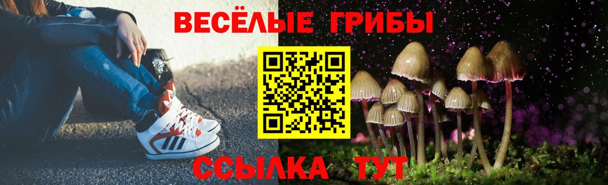 МЕФ Зеленокумск
